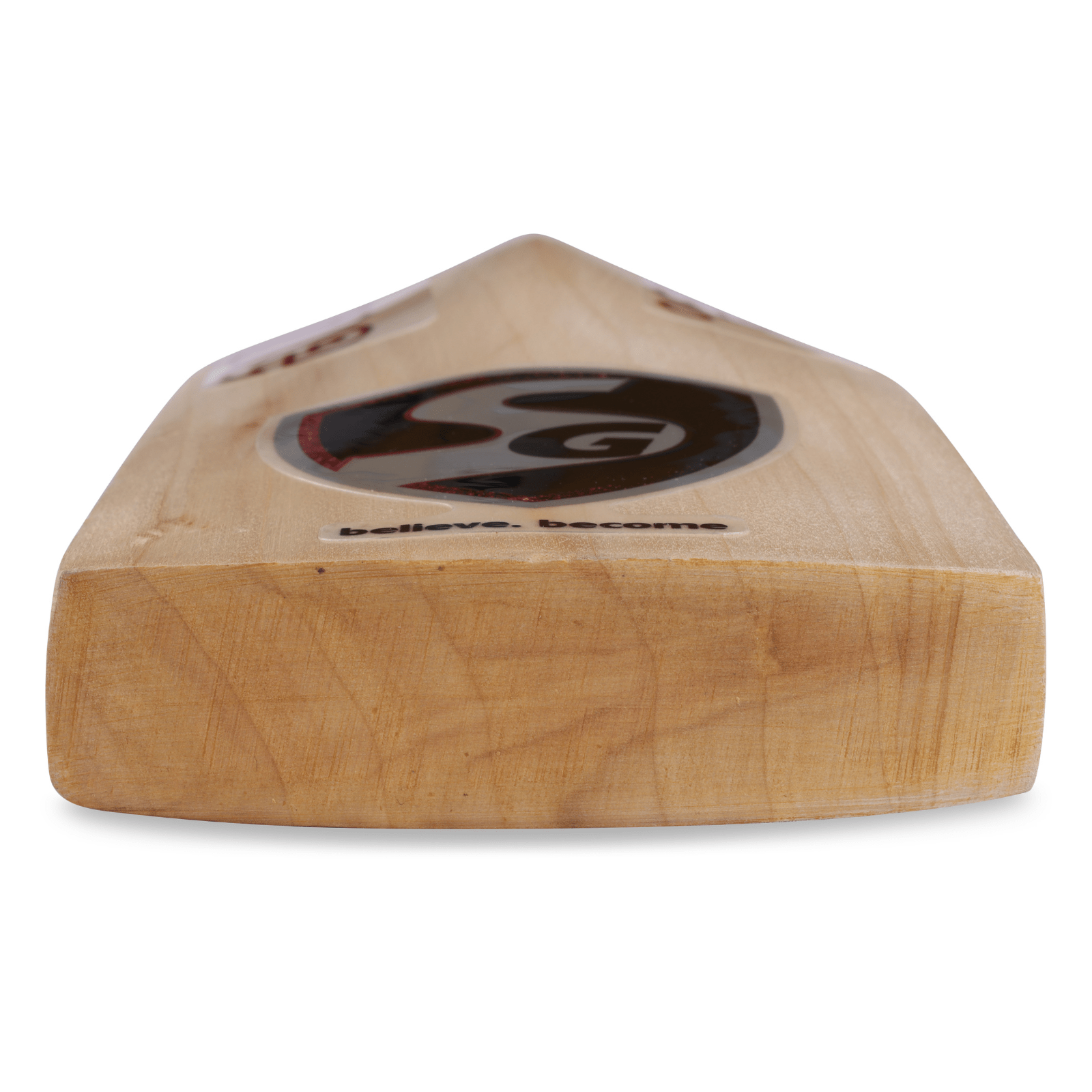 SG Sierra 150 English Willow Cricket Bat - Cric Studio