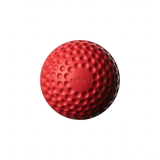 SG Swinga Cricket ball - Cric Studio