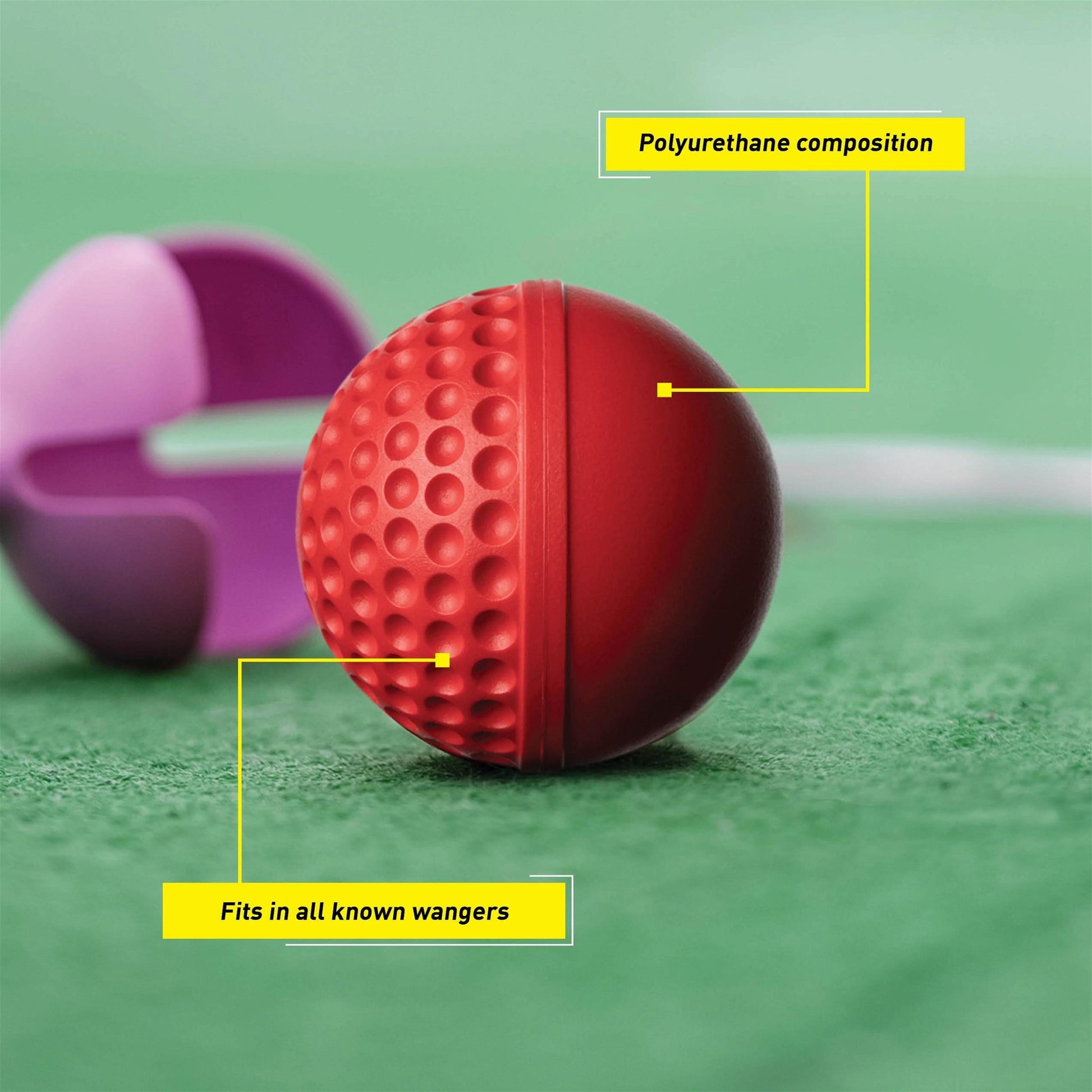 SG Swinga Cricket ball - Cric Studio