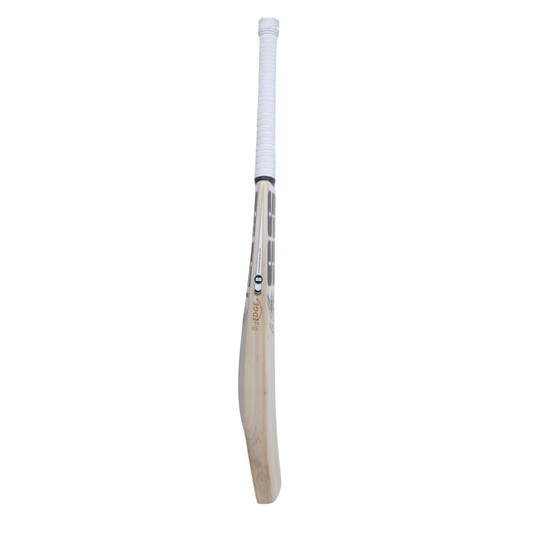 SS Players 2000 English Willow Cricket Bat - Cric Studio