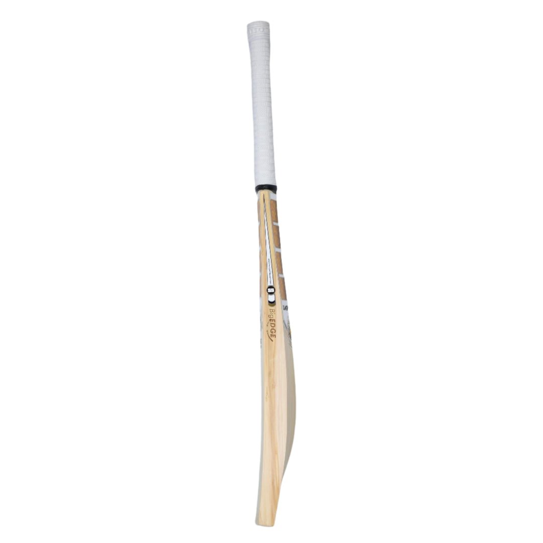 SS Players 3000 English Willow Cricket Bat - Cric Studio