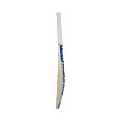 NB Cricket Bat 650i TC