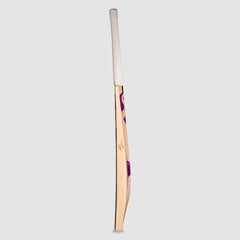 SG Cricket Bat Tiger Shark