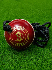 SWAR Cricket Balls Hanging