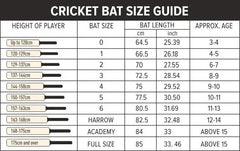 DSC Cricket Bat Condor Atmos