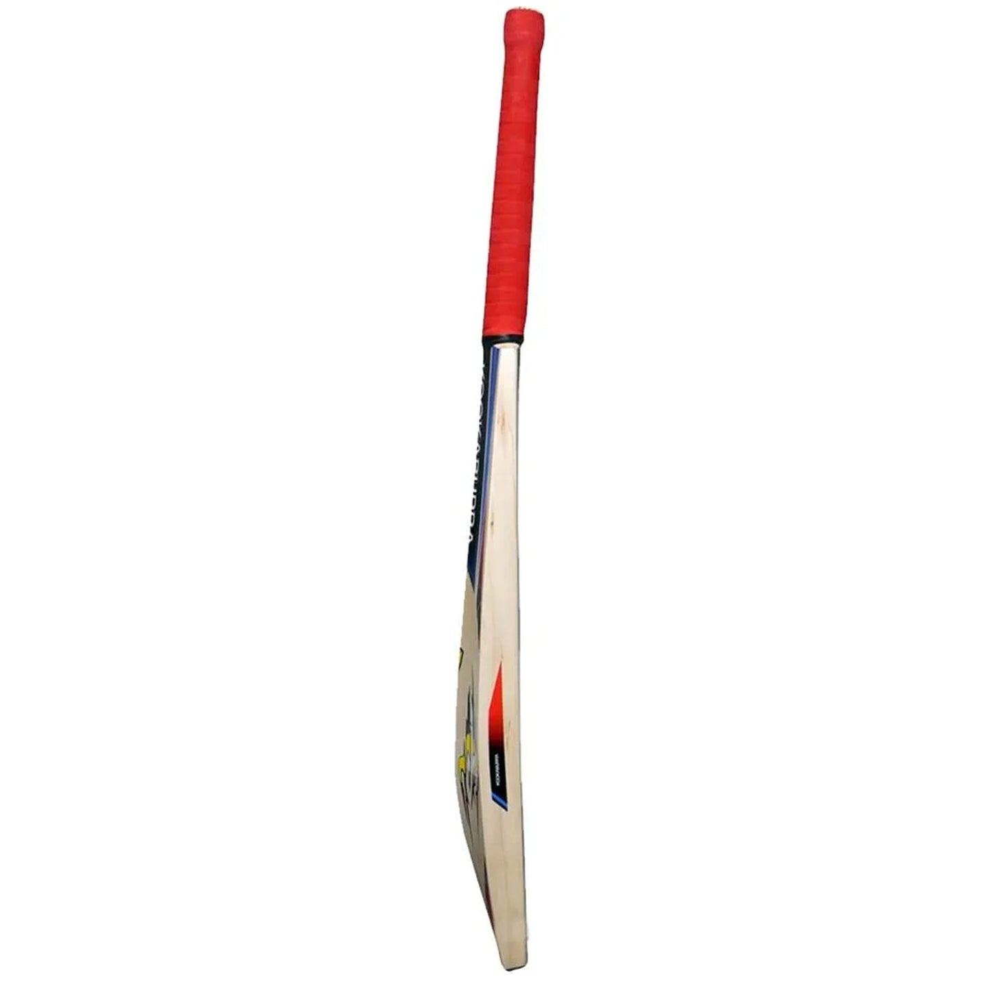 KB Beast 4.0 Cricket Bats - Cric Studio