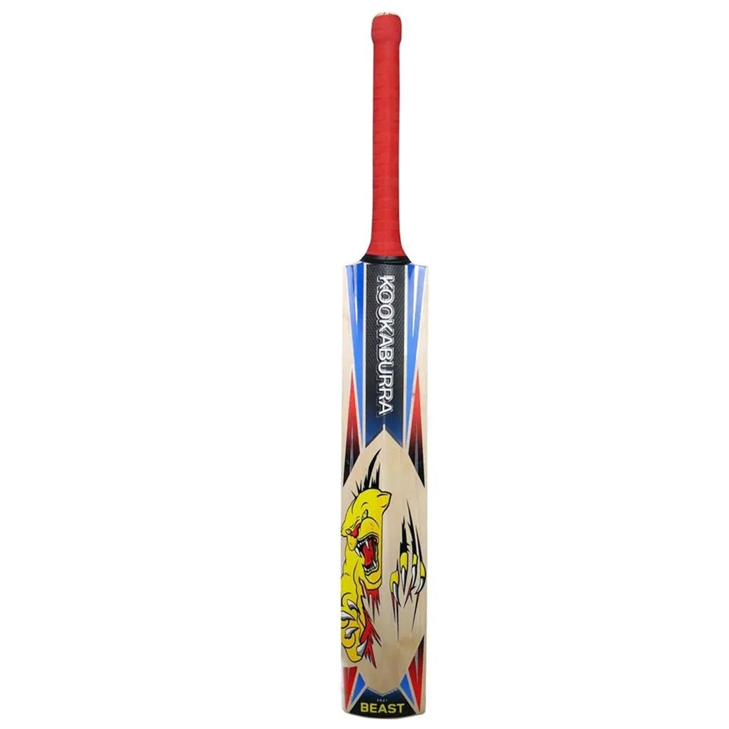KB Beast 4.0 Cricket Bats - Cric Studio