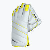 DSC Wicket Keeping Gloves Flite