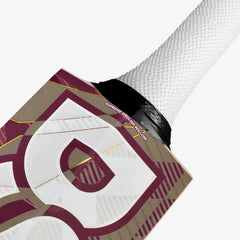 DSC Cricket Bat Condor Surge