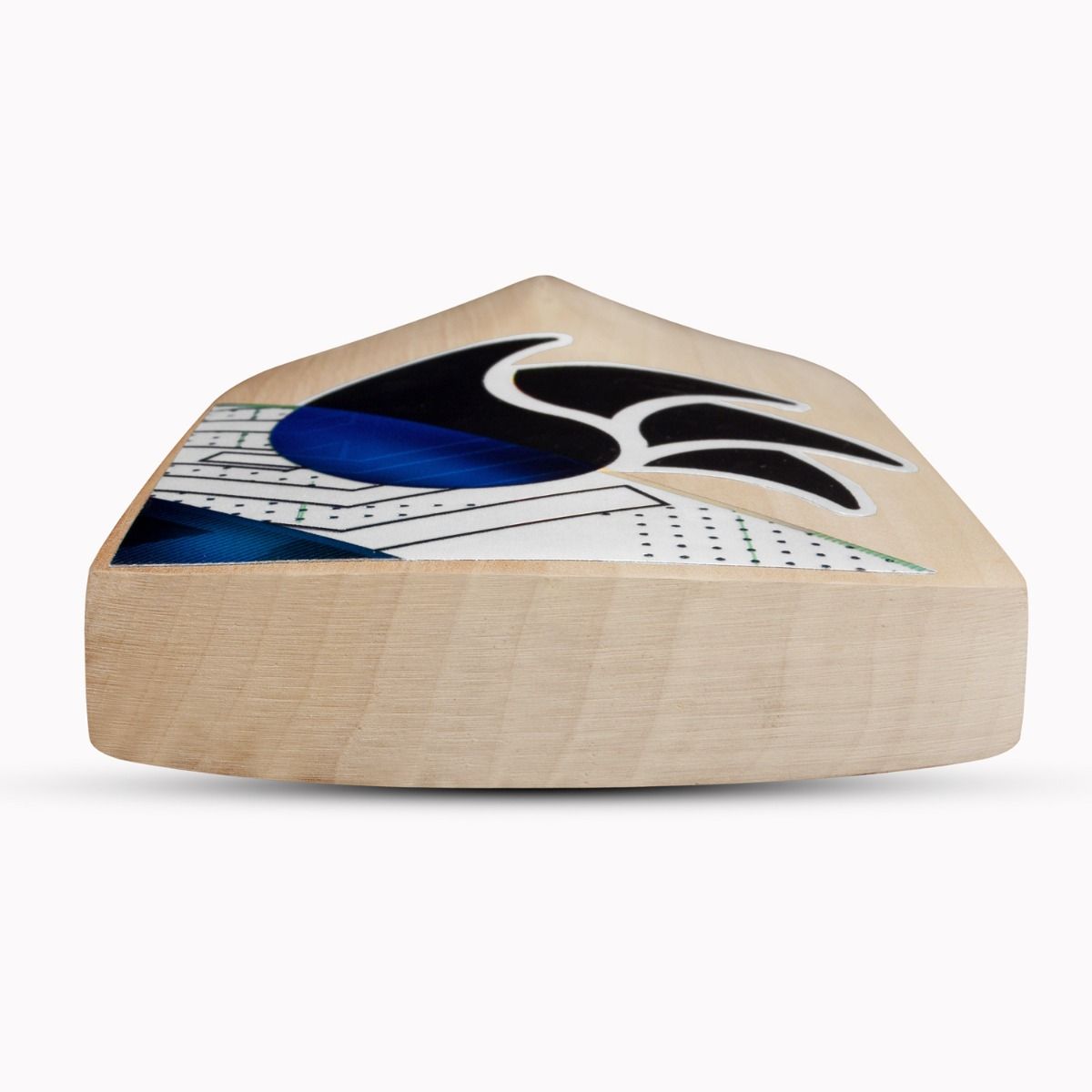 DSC BLAK Players Edition English Willow Bat - Cric Studio