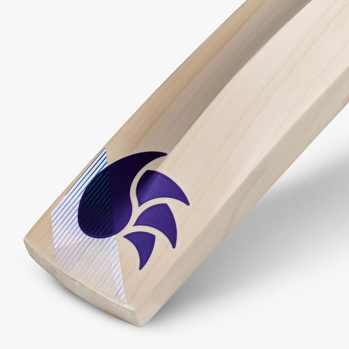 DSC BLU 200 English Willow Bat No.5 - Cric Studio