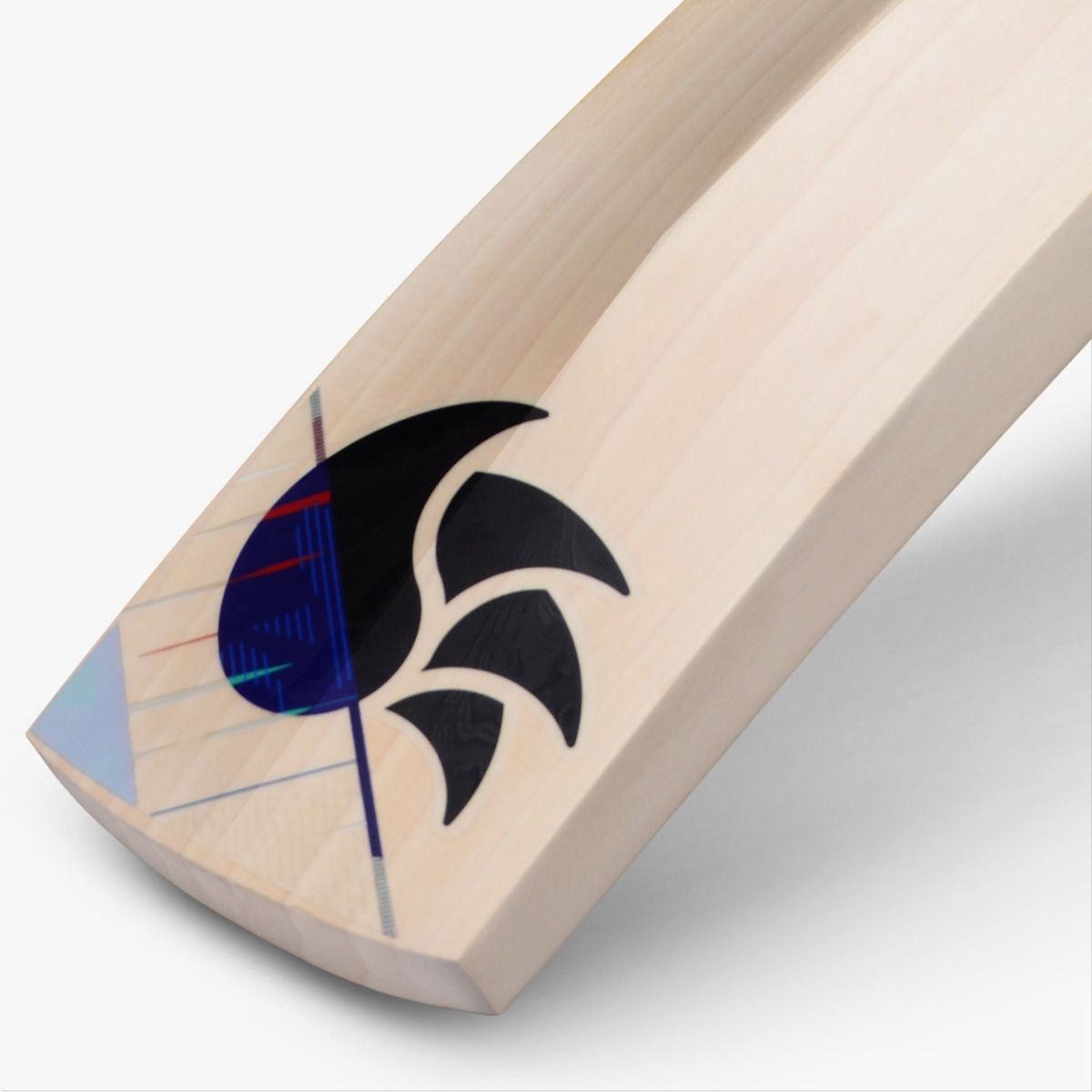 DSC Cynos 4040 Cricket Bat NO.5 - Cric Studio
