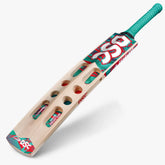 DSC Cricket Bat Wildfire Magma