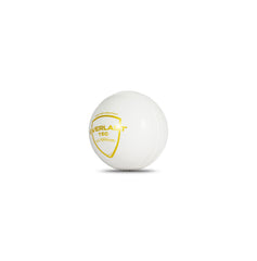 SG Cricket Ball Everlast Tec
