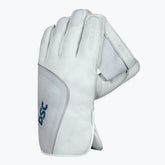 DSC Wicket Keeping Gloves Pro