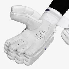 DSC Batting Gloves Passion