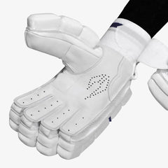 DSC Batting Gloves Passion