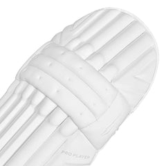 DSC Batting Legguard Pro Player