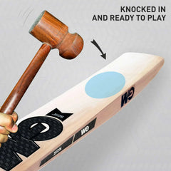 GM Cricket Bat Noir 606