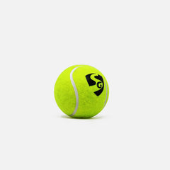 SG Cricket Ball Club Heavy