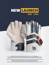 Sunridges Wicket Keeping Gloves Falcon