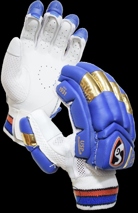 SG Batting Gloves Test