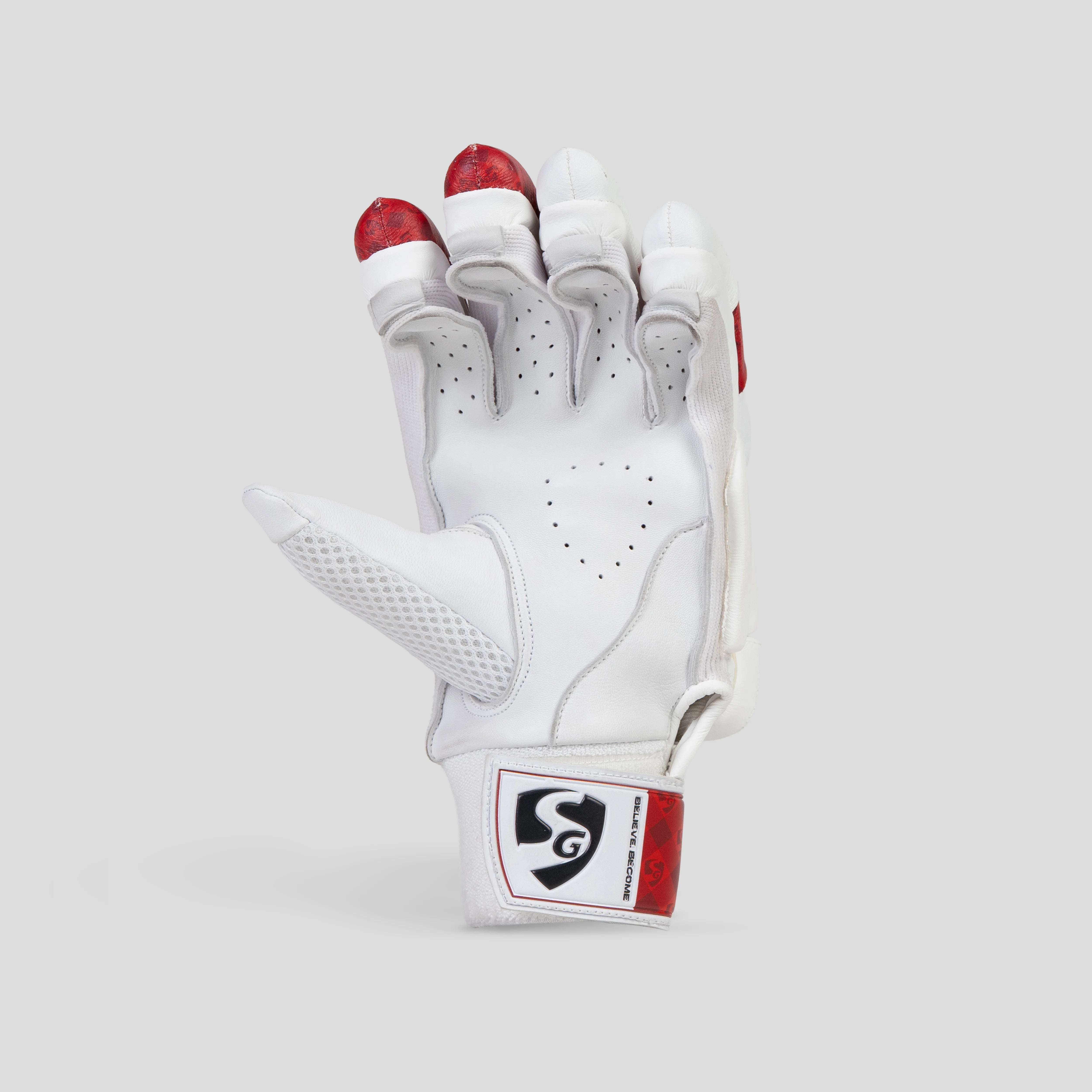 SG Batting Gloves Test