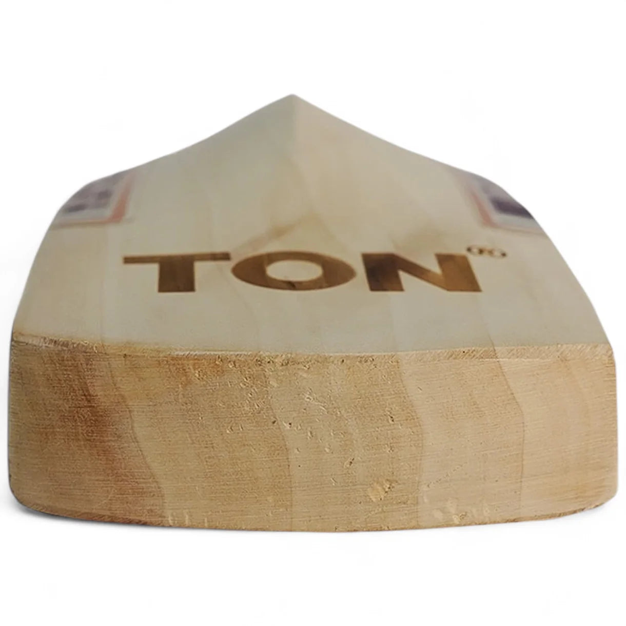 SS Cricket Bat Master 9000