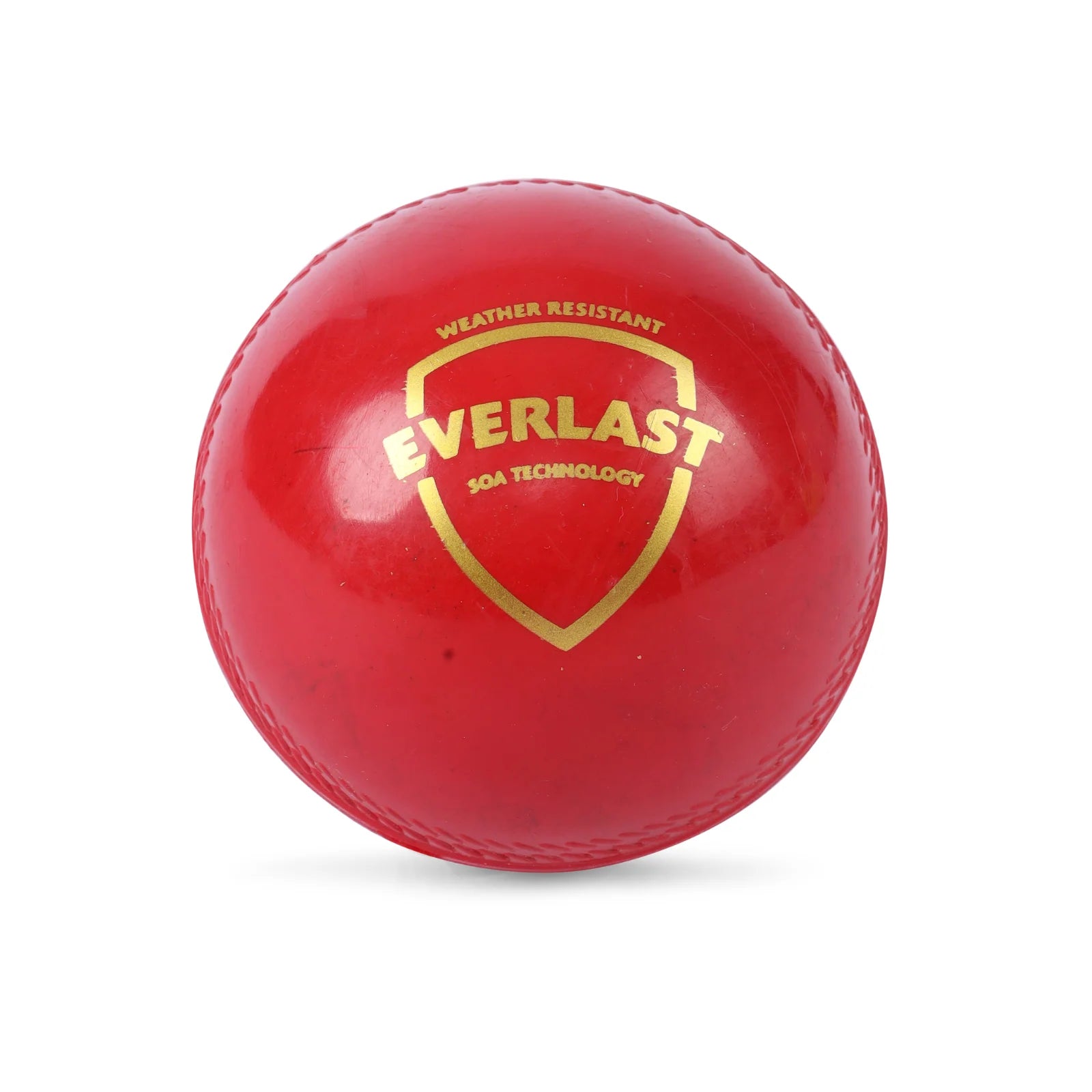 SG Cricket Ball Everlast