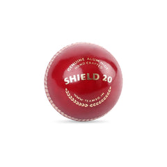 SG Cricket Ball Shield 20