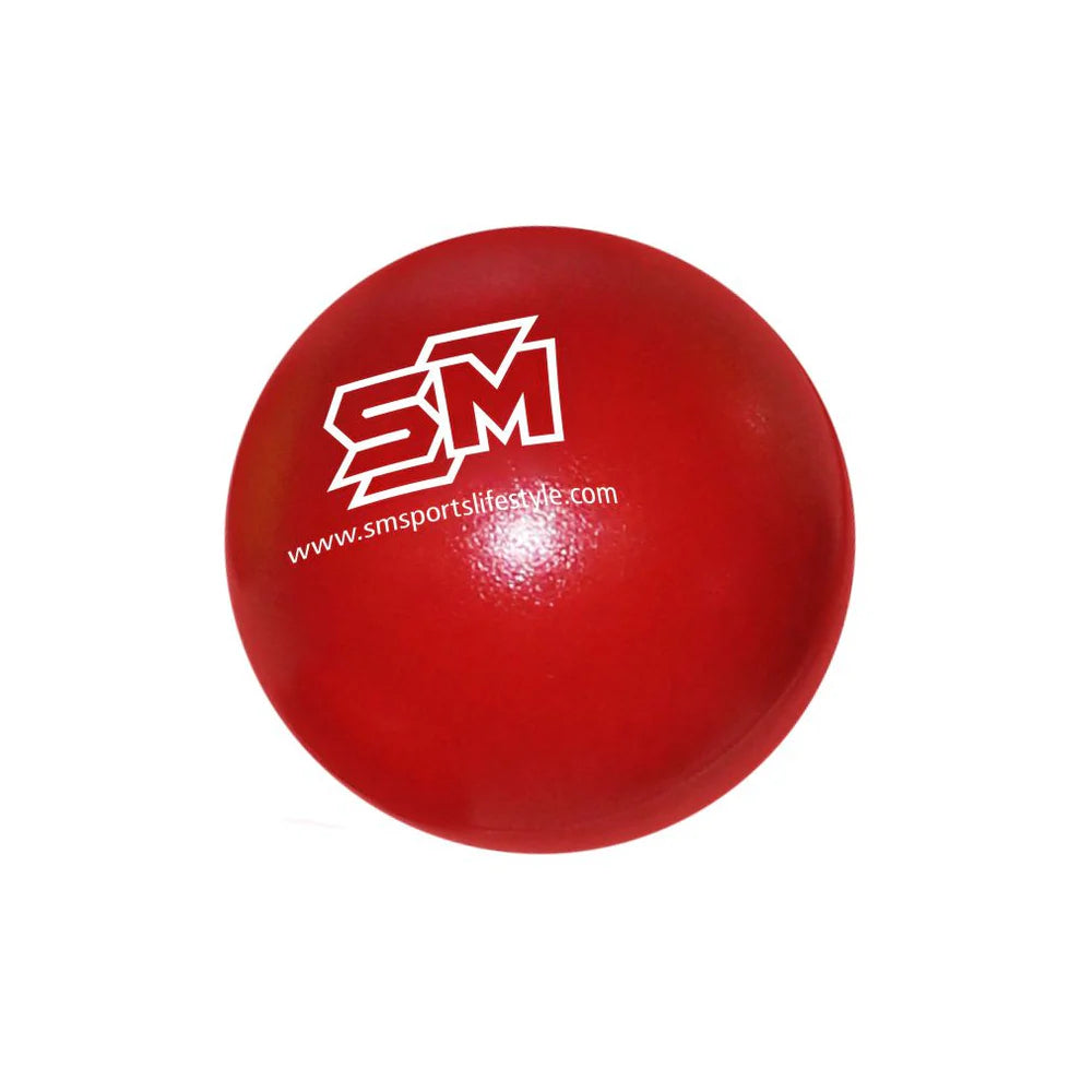 SM Cricket Ball Plastic