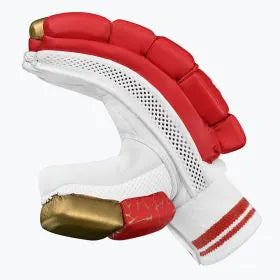 DSC Batting Gloves Flite 20\20