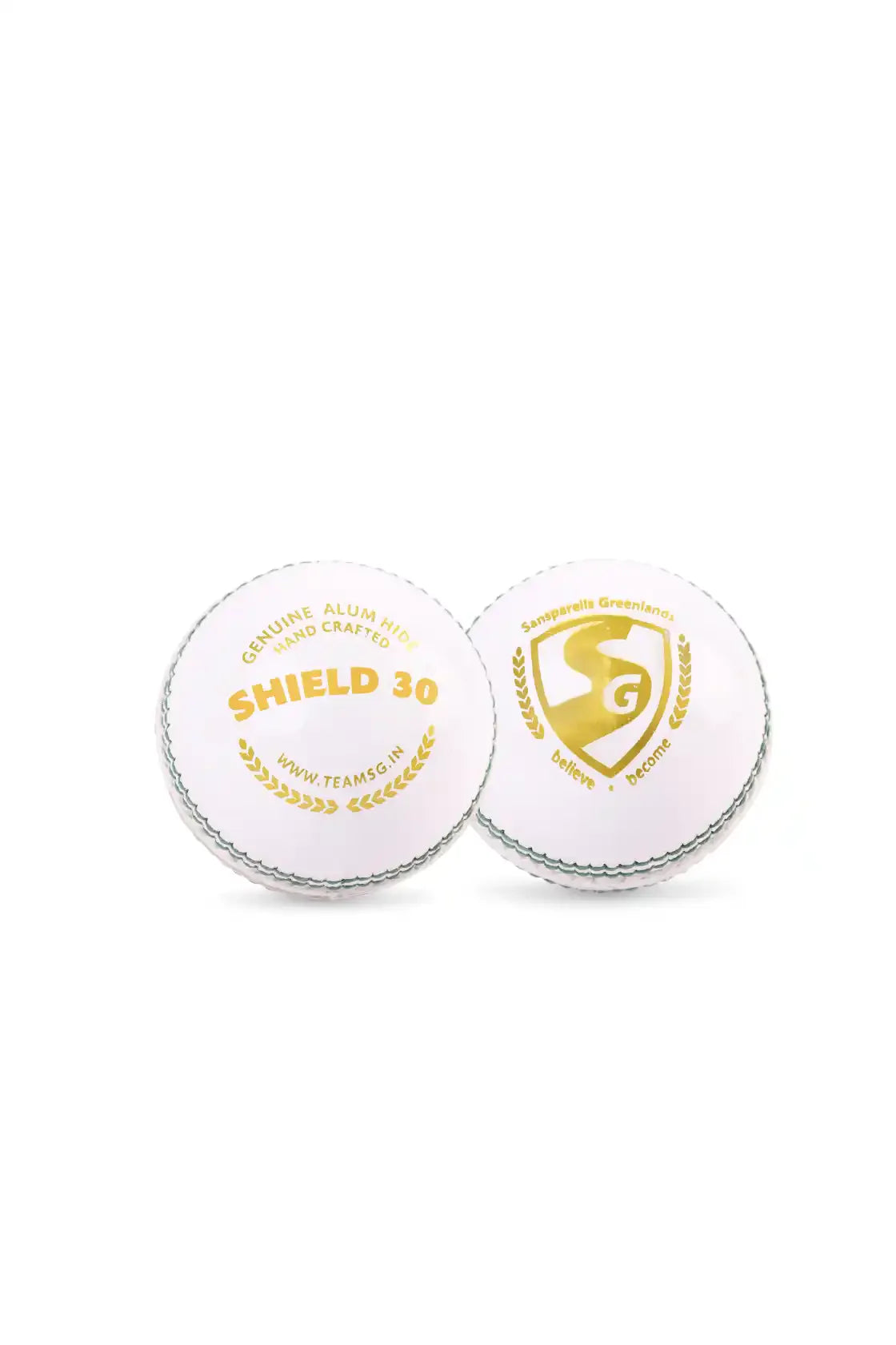 SG Cricket Ball Shield 30