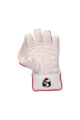 SG Wicket Keeping Gloves Test