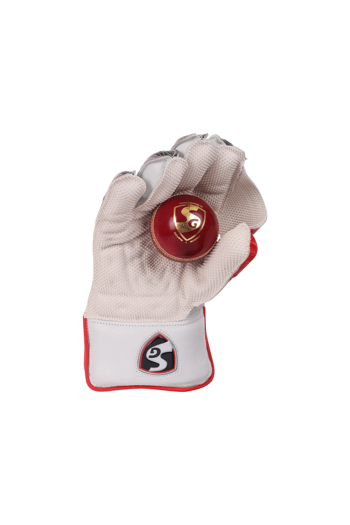SG Wicket Keeping Gloves Test