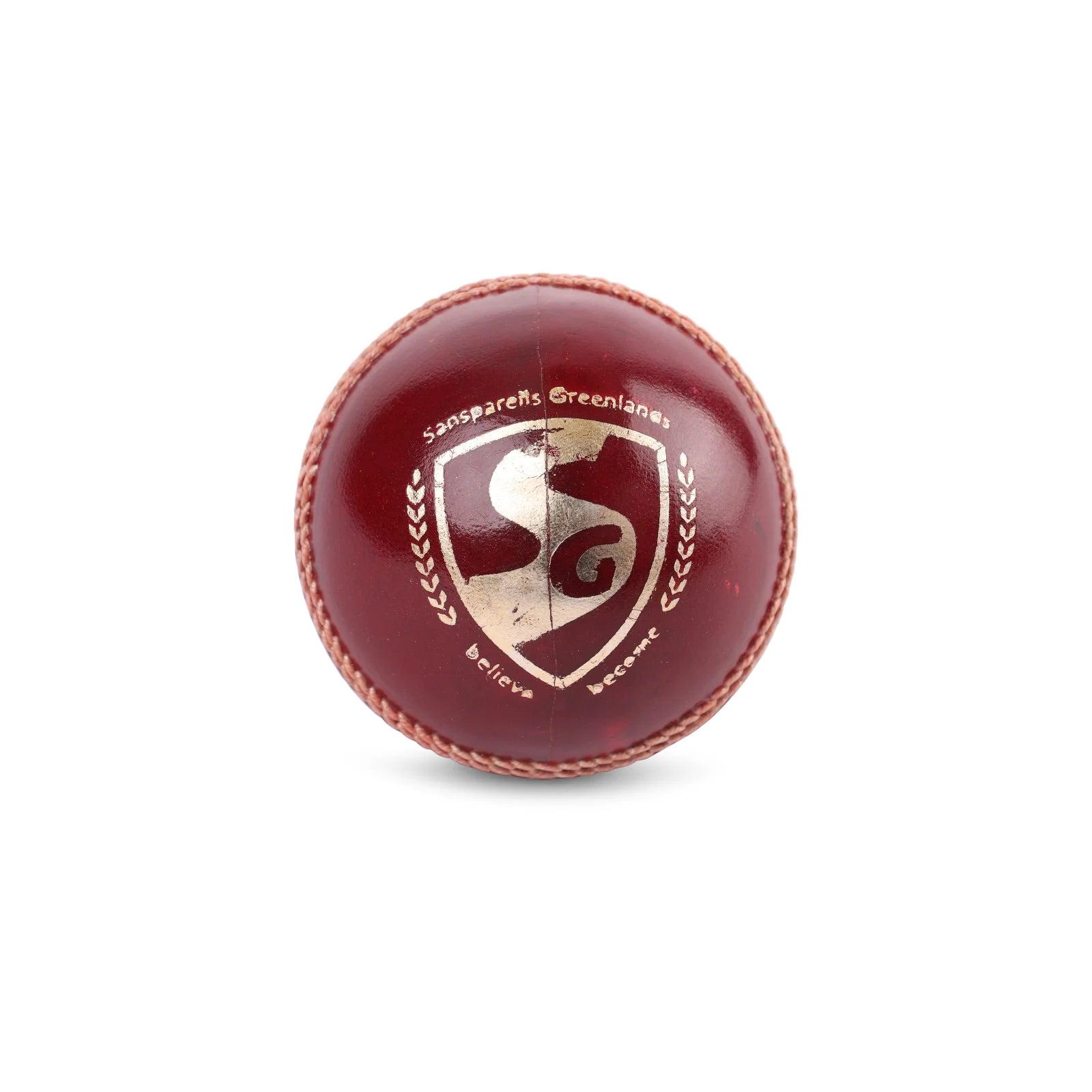 SG Cricket Ball Test