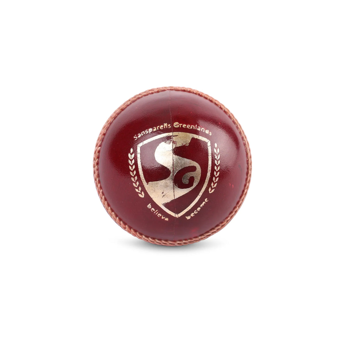 SG Cricket Ball Test