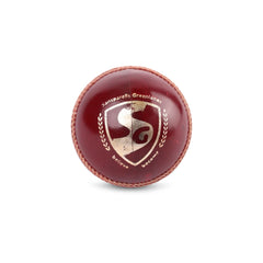 SG Cricket Ball Test