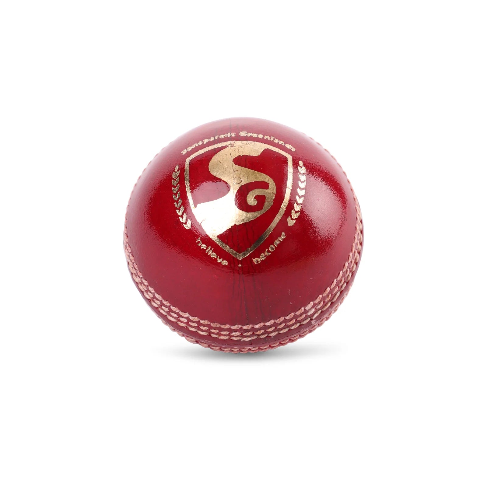 SG Cricket Ball Shield 30