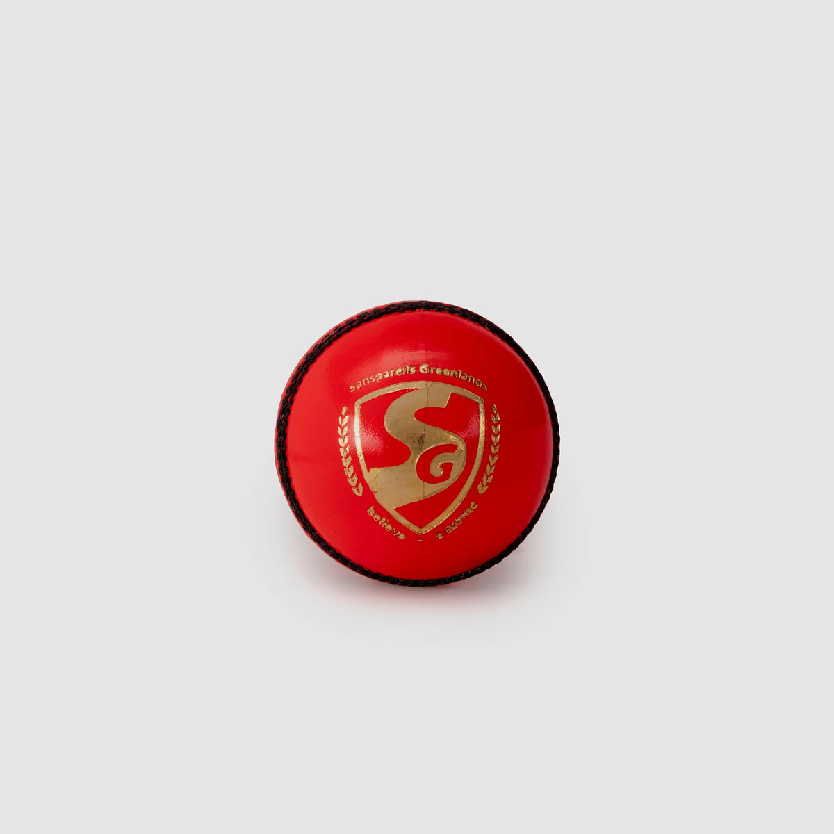 SG Cricket Ball Test Le