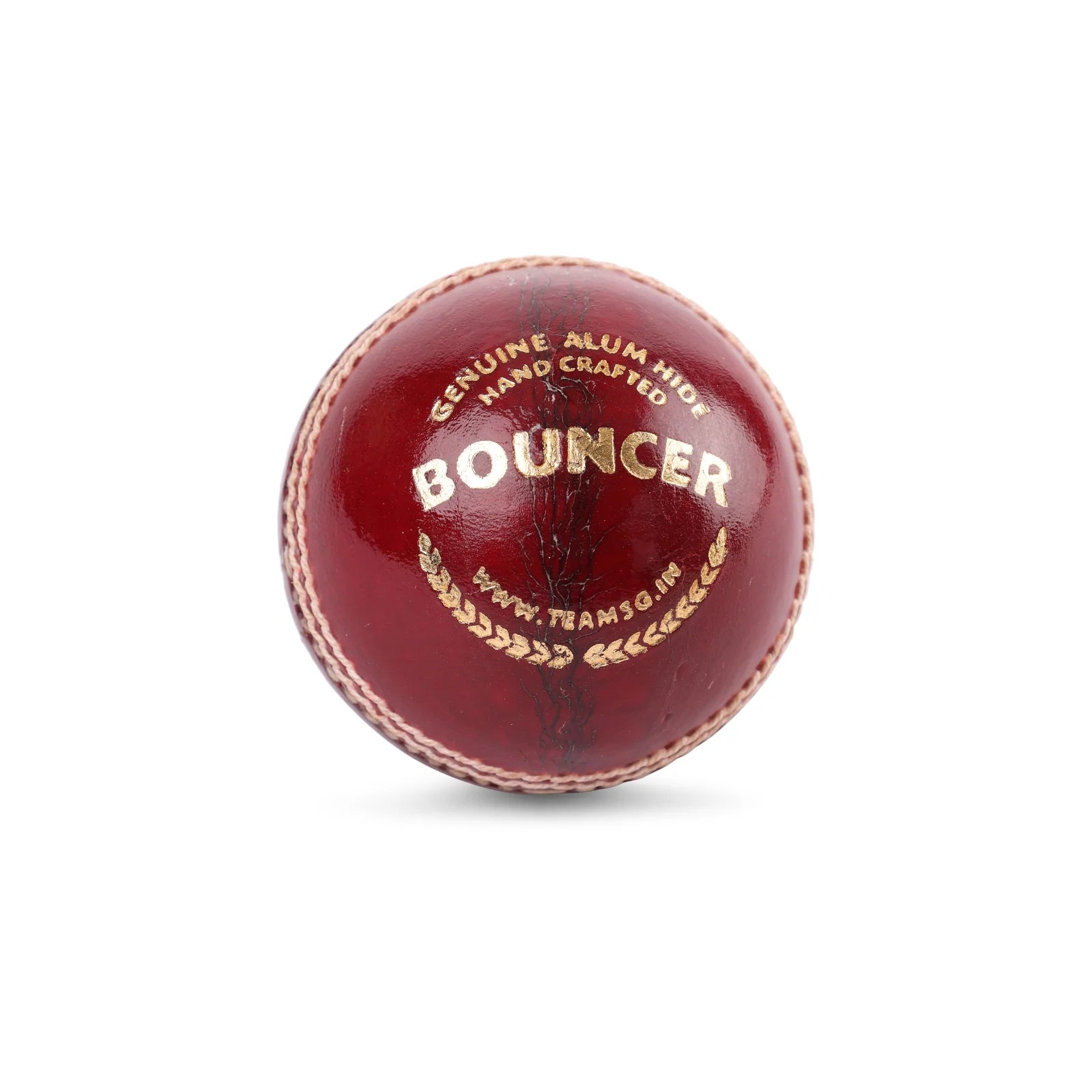SG Cricket Ball Bouncer