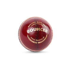 SG Cricket Ball Bouncer