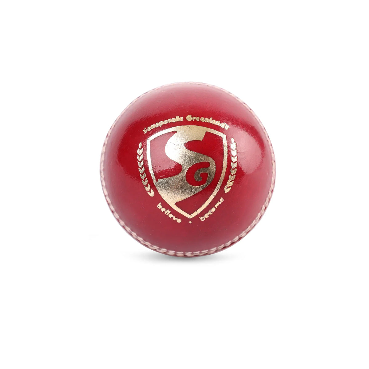 SG Cricket Ball Shield 20
