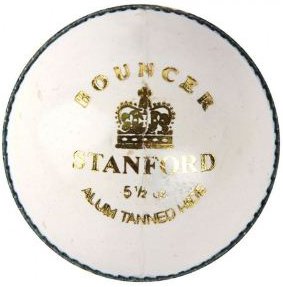 SF Cricket Ball Bouncer