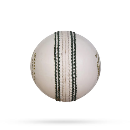 SG Club Cricket Leather Ball