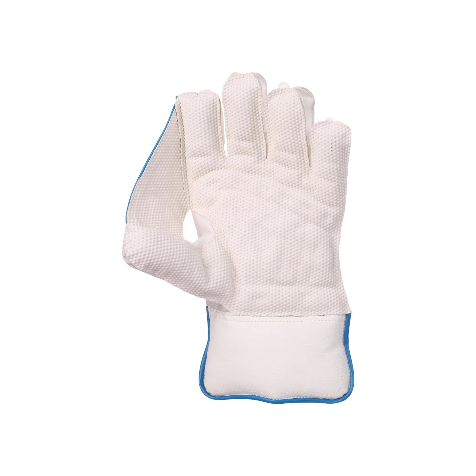 SG Wicket Keeping Gloves Tournament