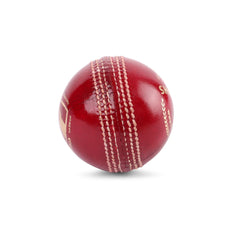 SG Cricket Ball Shield 30