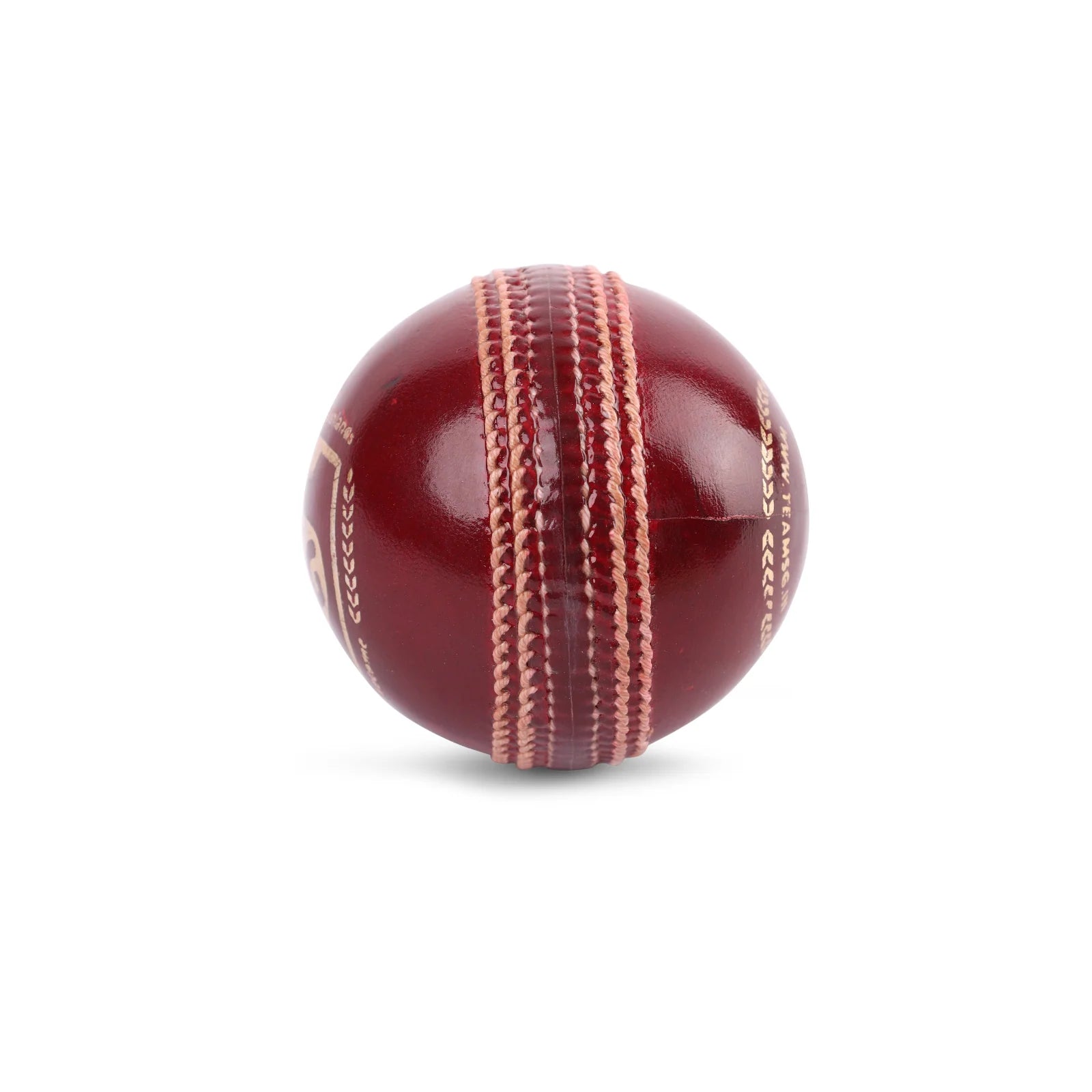 SG Cricket Ball Test