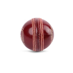 SG Cricket Ball Test
