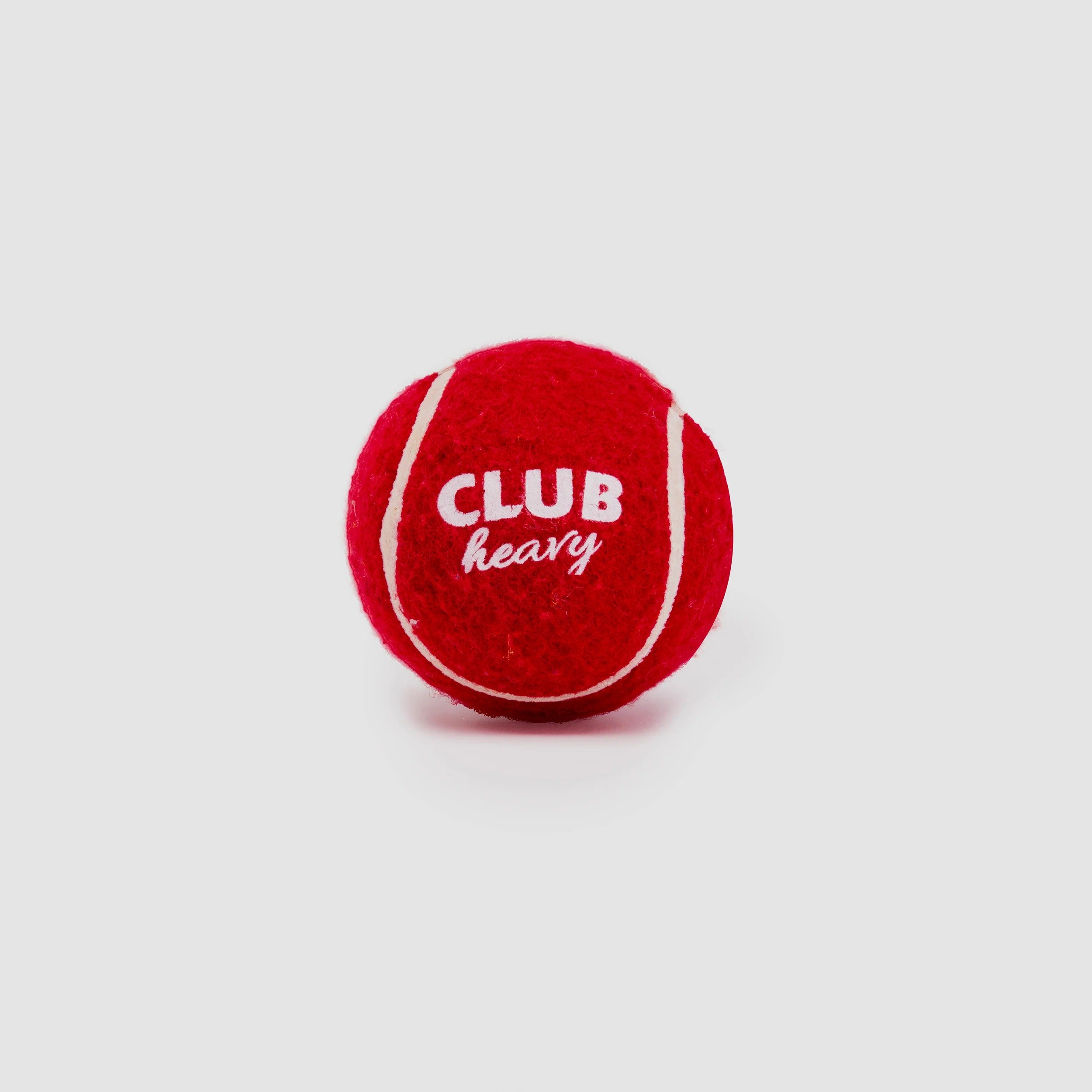 SG Cricket Ball Club Heavy